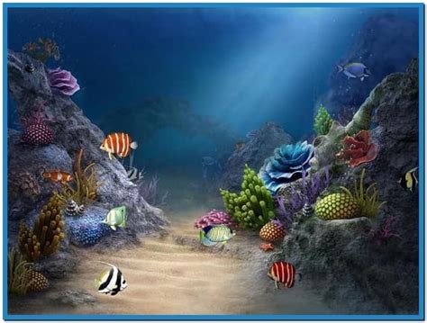 Download 3d Fish Aquarium Screensaver By Ccalhoun47 3d Aquarium
