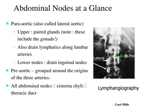 Ppt Lymphatic System Gross Anatomy Powerpoint Presentation Free