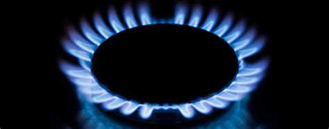 bermudas costs  electricity imported cooking gas gasoline  oil