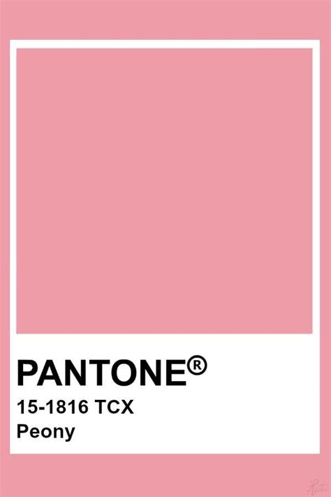 Pantone Tcx Pantone Pink Pantone Palette Pantone Swatches Pantone