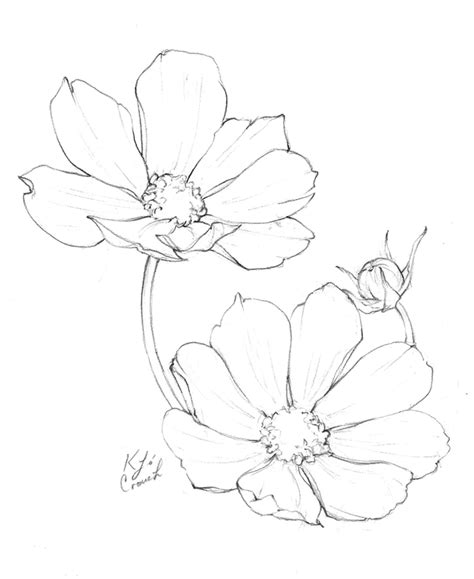 Flower Drawings Inktober 2018 Roundup — Katrina Crouch Blushed