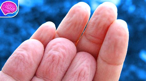 now you will know why your fingers get wrinkly in water procaffenation