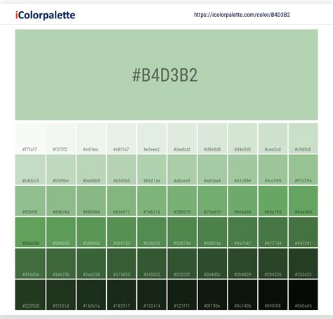 Pantone 13 0116 Tcx Pastel Green Color Hex Color Code B4d3b2