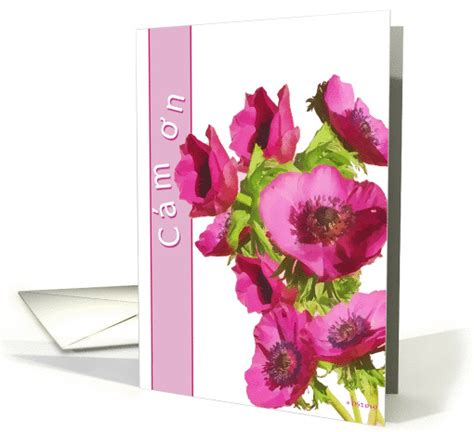 We did not find results for: cam on, thank you in Vietnamese, pink anemone flowers card ...