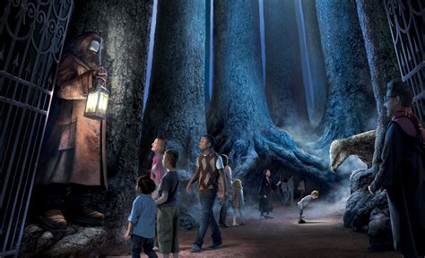 Youll Soon Be Able To Trek Through Harry Potters Forbidden Forest