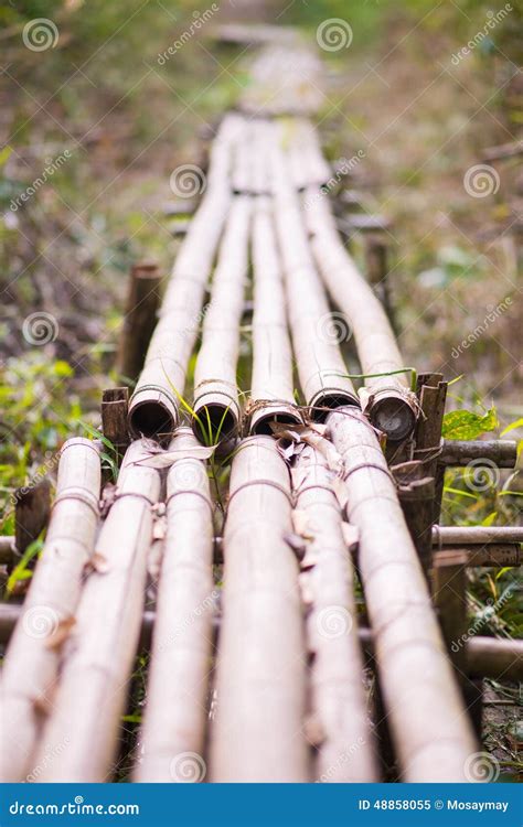 Handmade Bamboo Bridge In Garden Stock Image Image Of Walk Outdoor