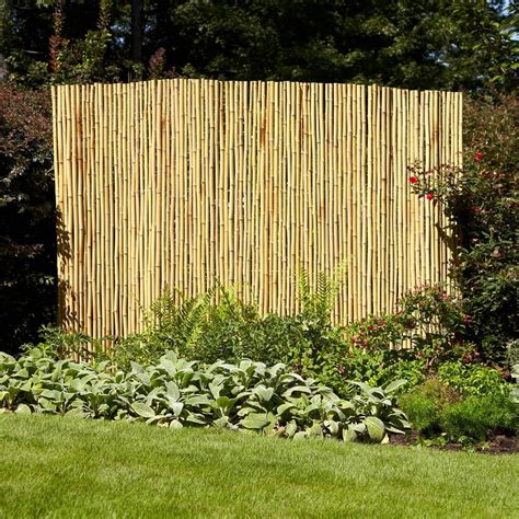 Vigoro 6 Ft X 8 Ft Natural Full Round Bamboo Fence 4477403 The Home