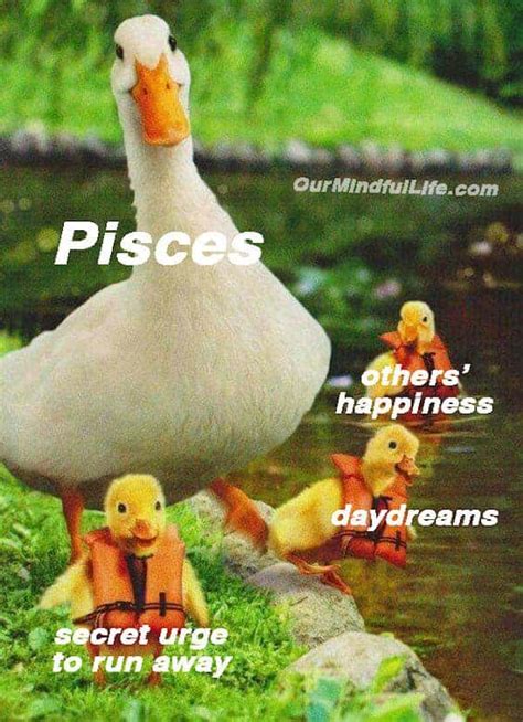 27 Funny Pisces Memes Too Real That It Hurts Our Mindful
