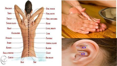 6 body parts you should massage where should you massage and where should you not youtube