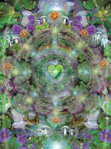 Heart Of The Forest Photograph By Mgl Meiklejohn Graphics Licensing