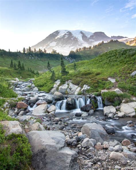 Parque Nacional Del Monte Rainier Banco De Fotos E Imágenes De Stock