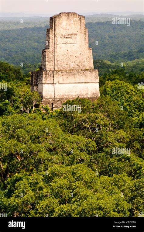 TIKAL Guatemala Vista De Las Ruinas Mayas De Tikal Y El Dosel De La