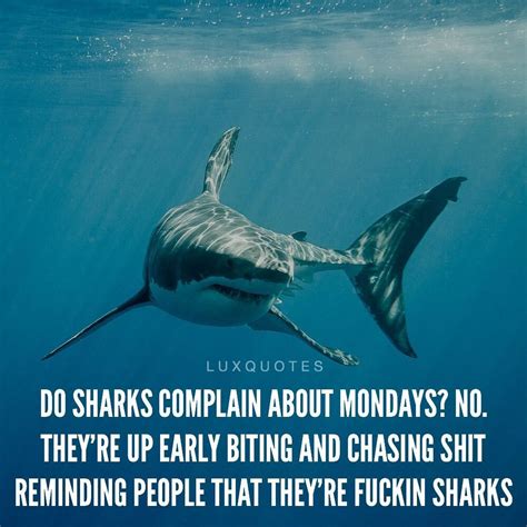 Shark Motivational Quotes