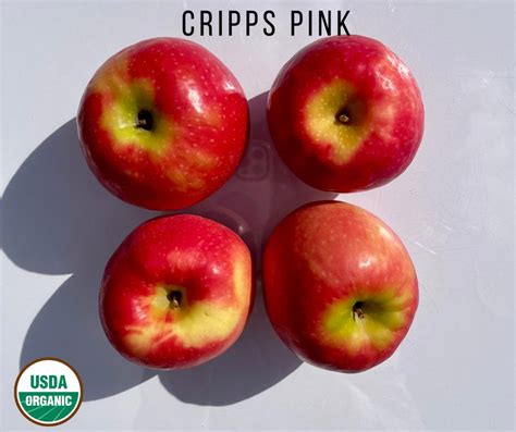 Organic Cripps Pink Apples Farm To Door Delivery Chelan Ranch