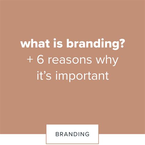 What Is Branding And 6 Reasons Why It Is Important — Kittyshark