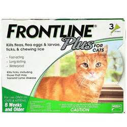 Revolution has protected my cats from fleas for many years. Frontline Plus for Cats | Frontline plus cats for flea and ...