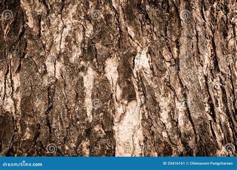 Brown Tree Bark Stock Image Image 33416161
