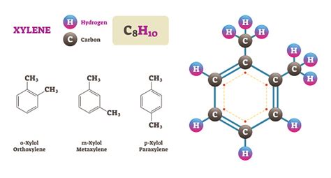 Illustration Vectorielle De Xylène Molécule Diagramme De Structure Dhydrogène Et De Carbone