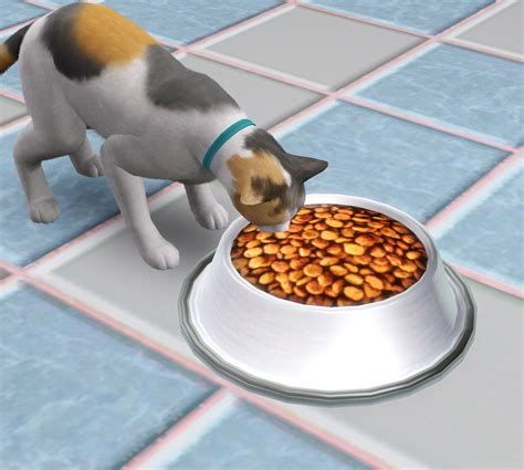 My First Pet Bowl Kibbles And Raw Ts3
