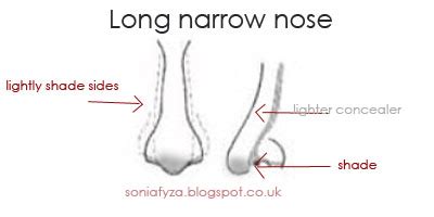 In a frontal view, (the sketch below), you only need a few lines to define the nose and mouth. NOSE CONTOURING: EVERYTHING YOU NEED TO KNOW | SoniaxFyza