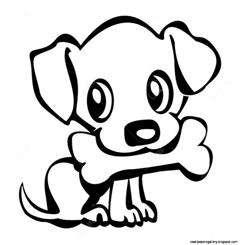List 100 Wallpaper What Is A Black And White Dog Called Full Hd 2k 4k