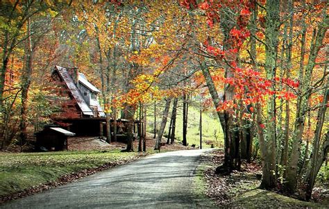 Scenic Cabin In Autumn Photograph By Michael Forte Fine Art America