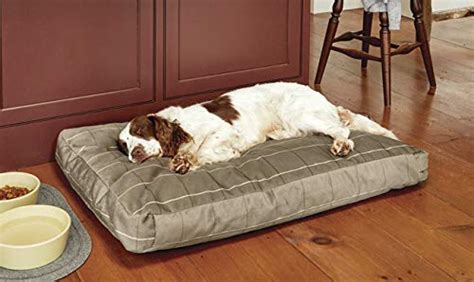 50 Tough Dog Beds Of 2020 Most Heavy Duty Or Dont Go Flat