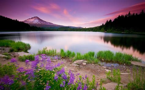Peaceful Scenery Wallpaper 42 Images