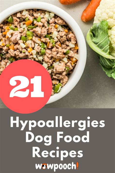 1 best dog food for allergies—quick guide into the allergy world. 21 Dog Food Recipes For Allergies in 2020 (With images ...
