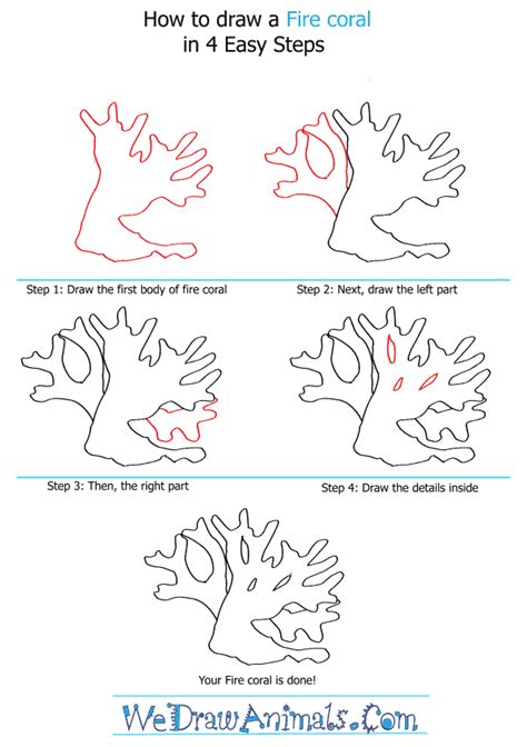 How To Draw A Fire Coral