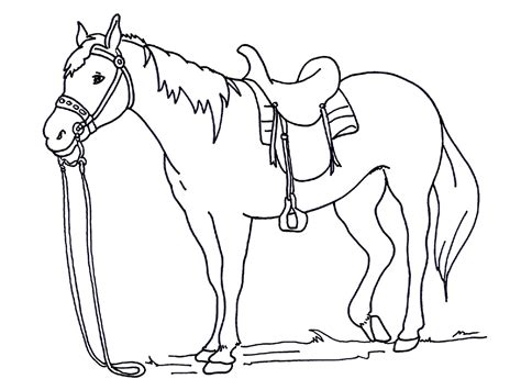 printable horse color pictures activity shelter