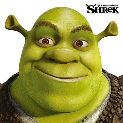 Shrek Face Graphic Art Print On Canvas Art Group Shrek Shrek