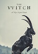 The Witch (2015) [1500 x 2121] | The witch movie, Movie posters ...