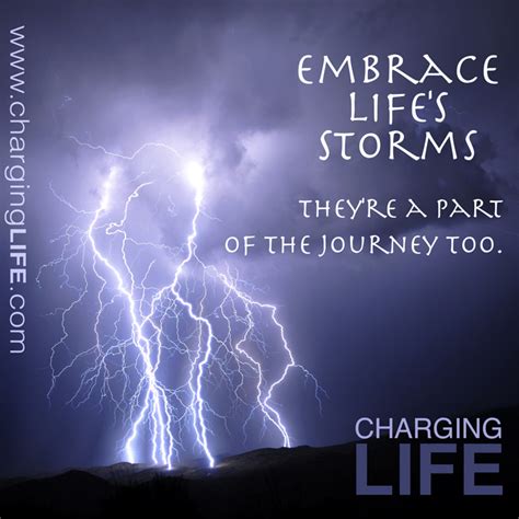 Embrace Life Quotes Quotesgram