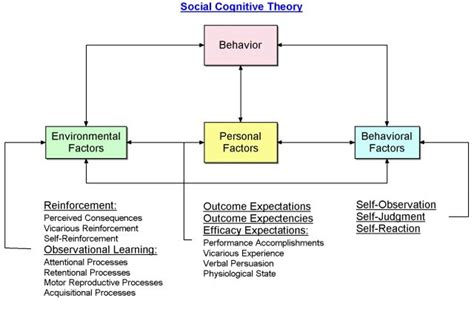 Pin By Marie Mccumber On Child Development Theory Social Cognitive