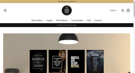 — starter site listed on flippa pod shopify store selling motivational canvases