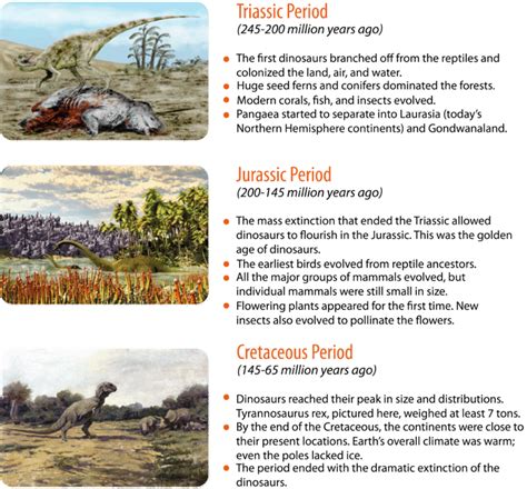 Mesozoic Era The Age Of Dinosaurs Read Biology Ck 12 Foundation