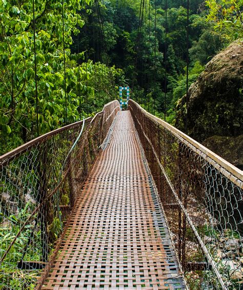 Trek Double Decker Root Bridge Meghalaya