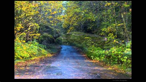 Road Trip ~ Ford Pinchot National Forest And Mt Adams Youtube