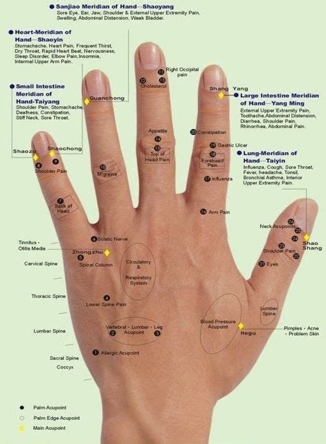 Aculife Tiens Hand Reflexology Reflexology Hand Chart Reflexology