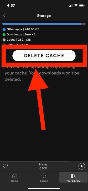 Click on the continue button. How to Delete Spotify Cache on iPhone and iPad