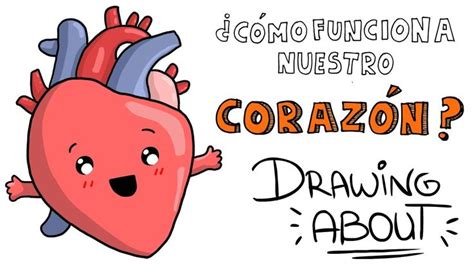 ¿cÓmo Funciona El CorazÓn ♥️ Drawing About Con Glóbuloazul