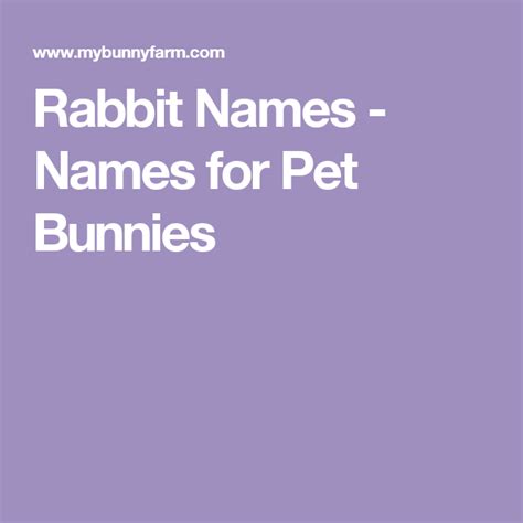 Rabbit Names Names For Pet Bunnies With Images Rabbit Names Pet