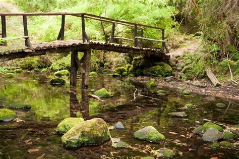Small Wooden Bridge Over A Stream In A Forest Stock Photo Colourbox