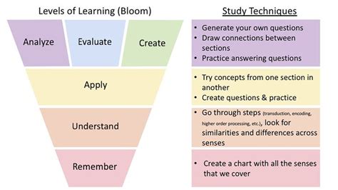 Levels Of Learning Study Techniques How To Memorize Things