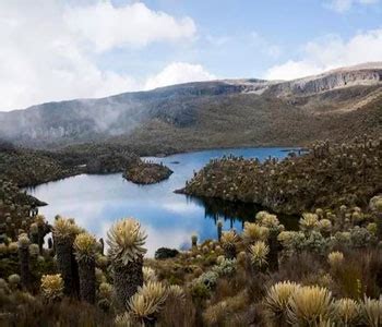 El Parque Nacional Natural De Los Nevados Cerrar Entre El Y De