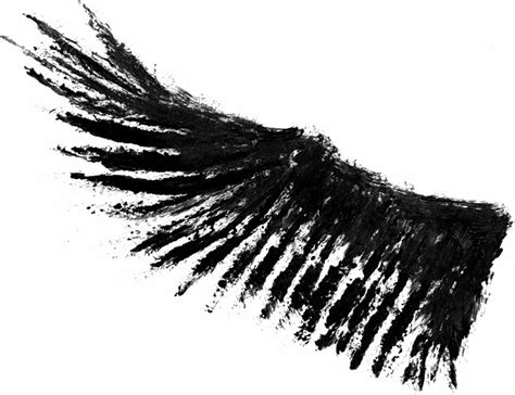 Wings Png Images Transparent Free Download