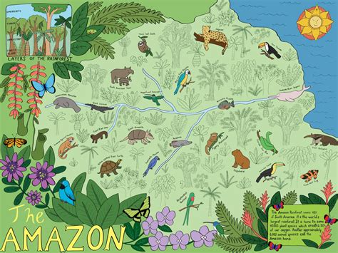 Amazon Rainforest Map For Kids