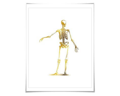 Human Skeleton Anatomical Gold Foil Art Print 7 Foil