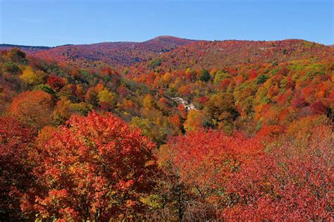 Asheville Nc Fall Foliage Color 2016